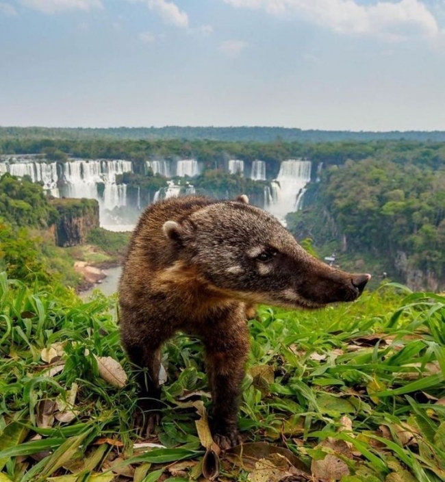 Cataratas del Iguaz - Vacaciones de invierno 
