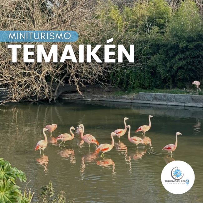 Temaiken