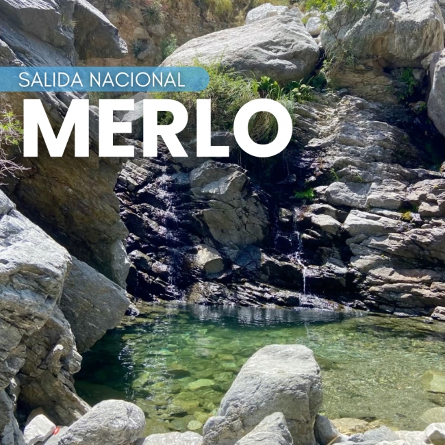 MERLO 