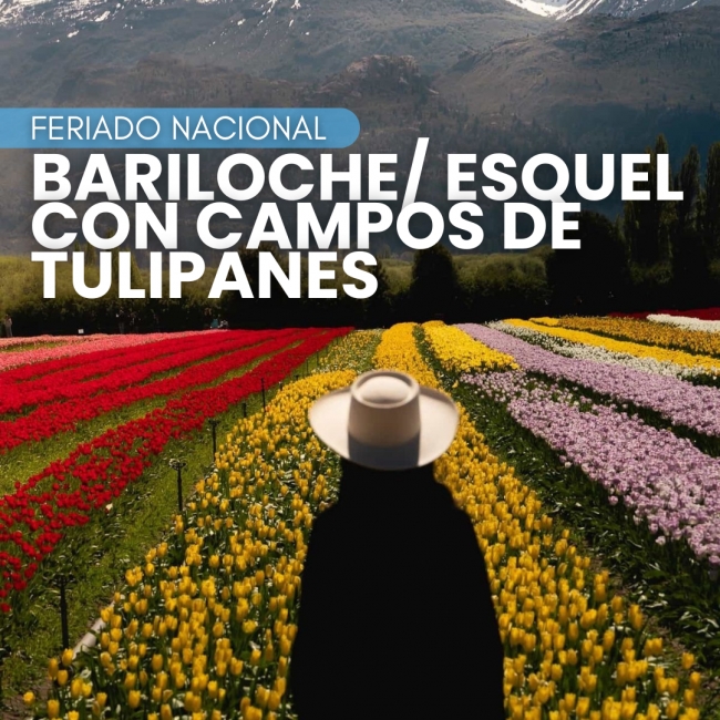  BARILOCHE/ESQUEL CON CAMPOS DE TULIPANES