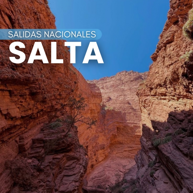 Salta