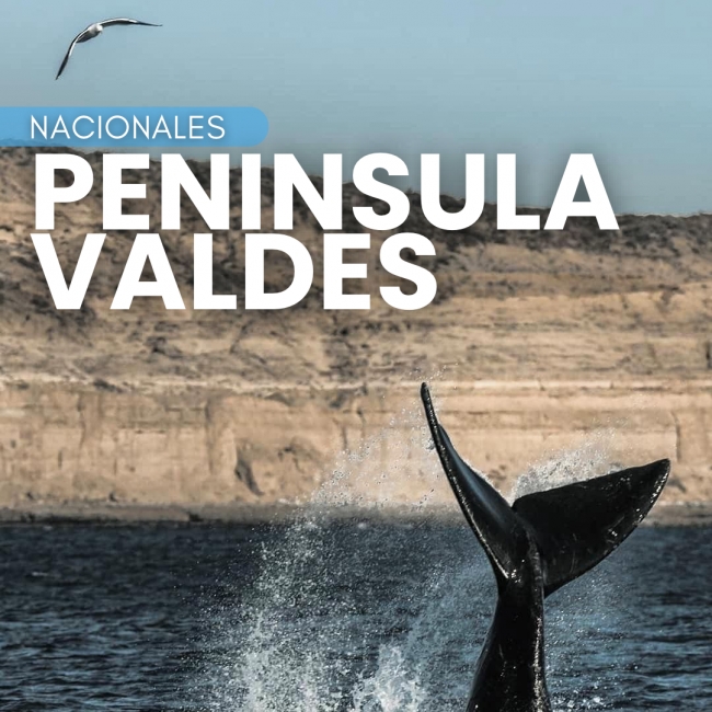  PENNSULA VALDS