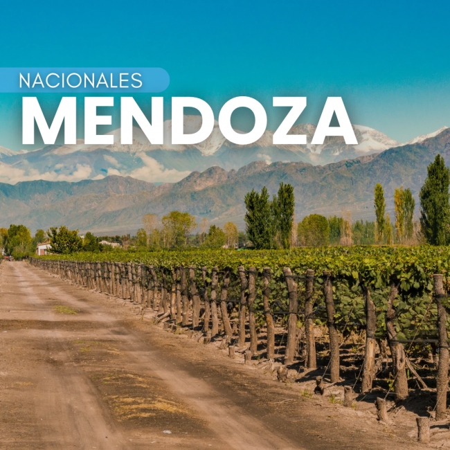 MENDOZA CON CACHEUTA