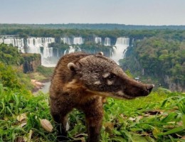 Cataratas del Iguaz - Vacaciones de invierno 