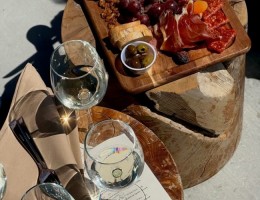 Day Tour Wine Experience