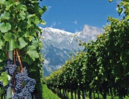 Mendoza (en bus) - Vacaciones de invierno