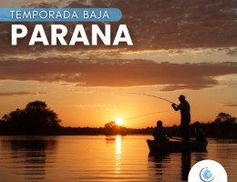 Paran - Feriado