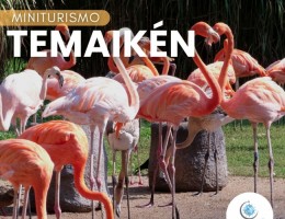 Temaiken