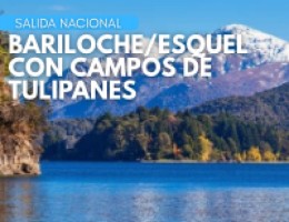  BARILOCHE/ESQUEL CON CAMPOS DE TULIPANES