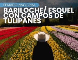  BARILOCHE/ESQUEL CON CAMPOS DE TULIPANES